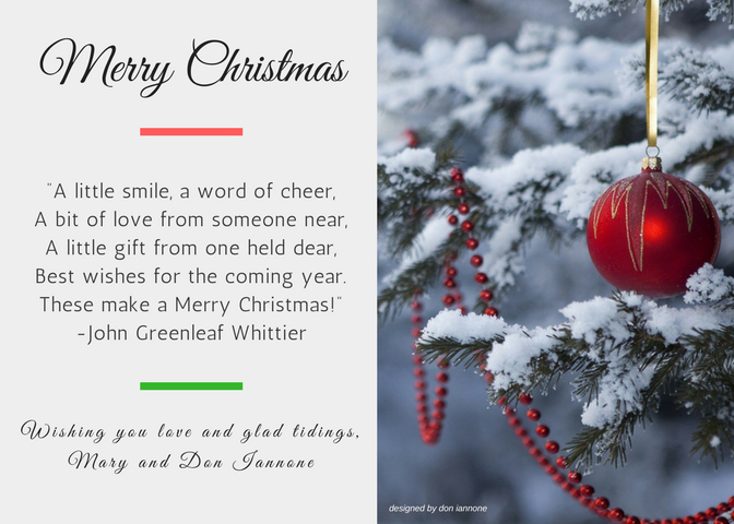Mary and Don Iannone 2017 Christmas Card