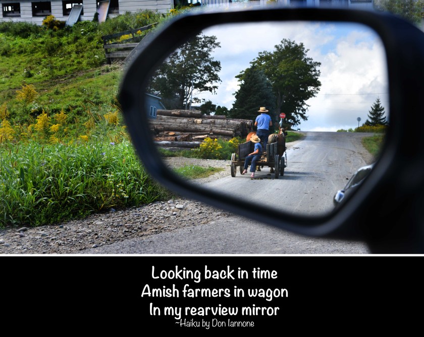 amish in rearview mirror small