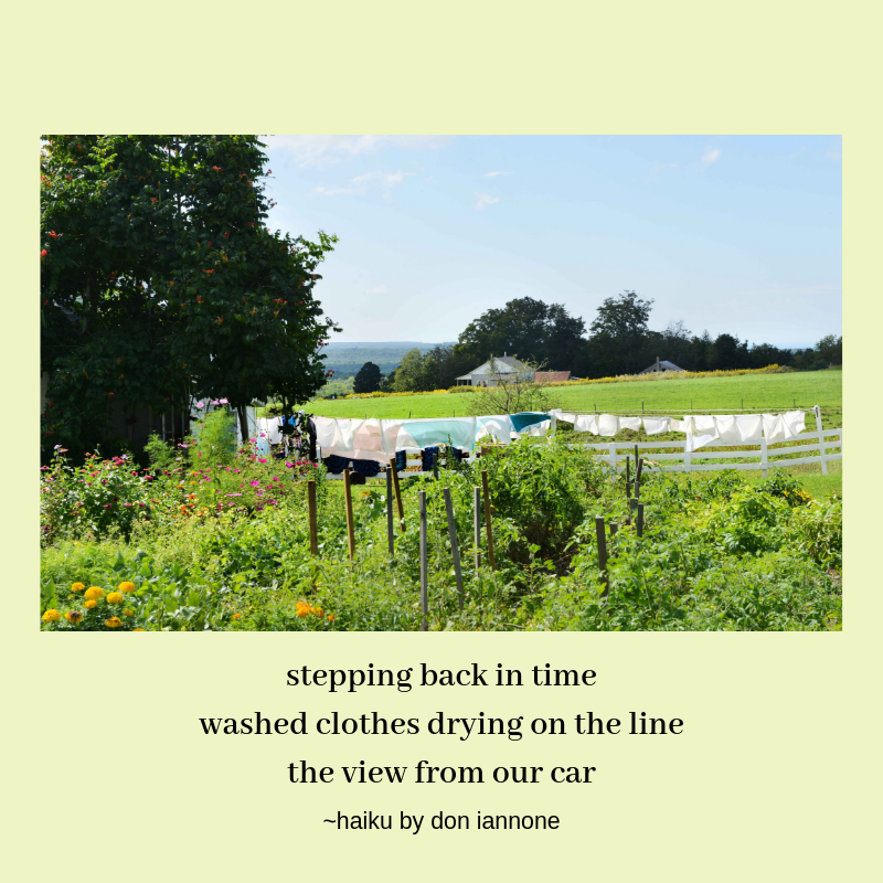 clothes line haiku.png