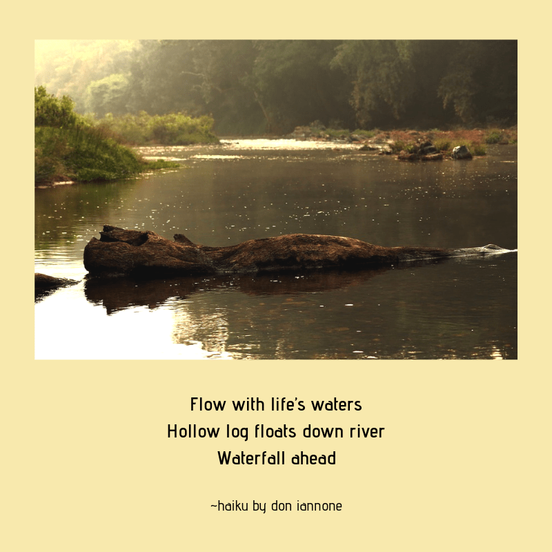 log in river haiku.png