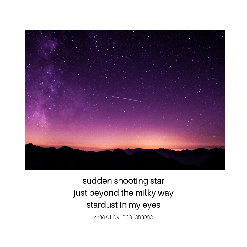 shooting star haiku.png
