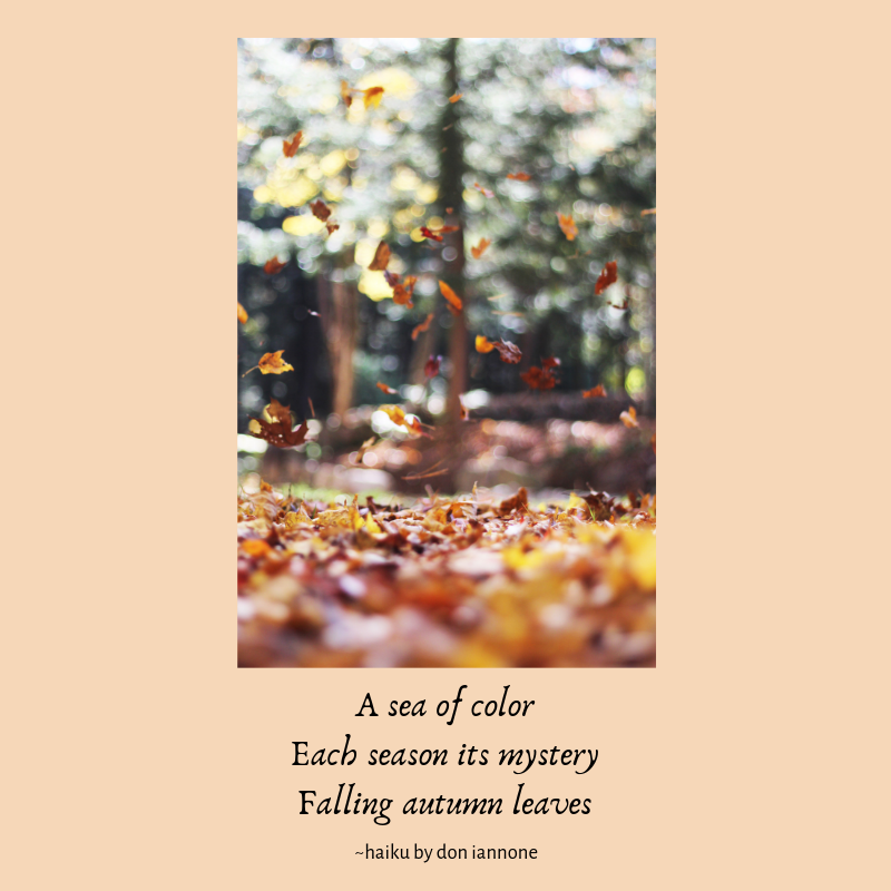 autumn leaves haiku.png