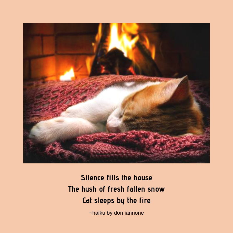 cat by fire haiku.png