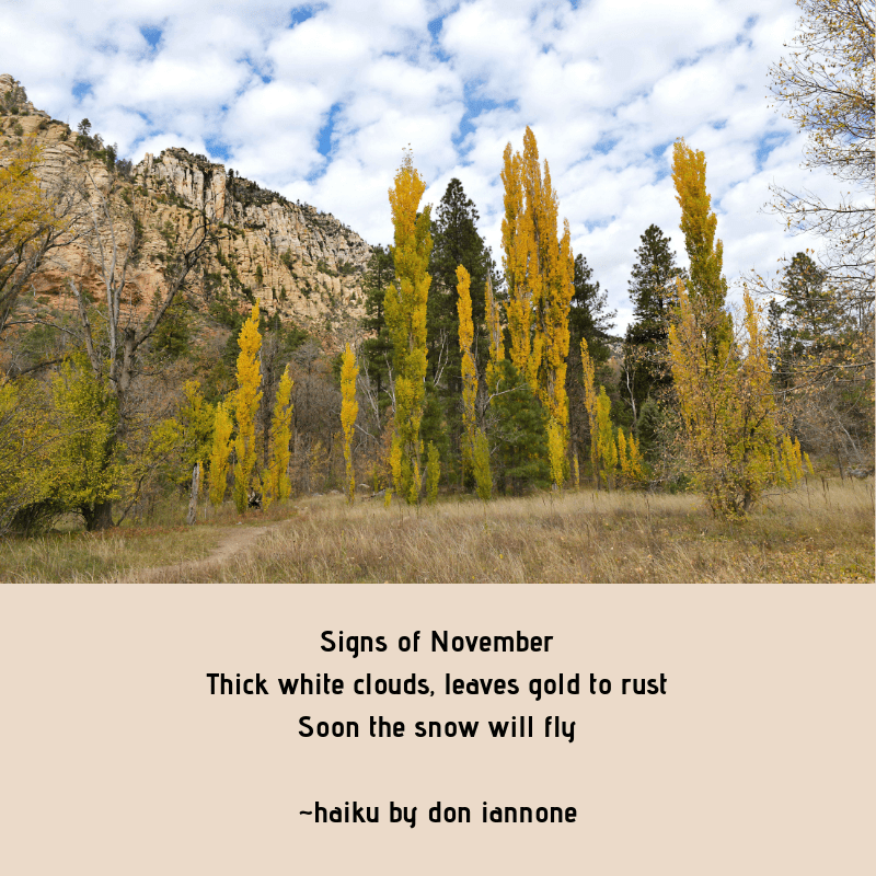 Signs of November Thick white clouds, leaves gold to rust Soon the snow will fly _haiku by don iannone