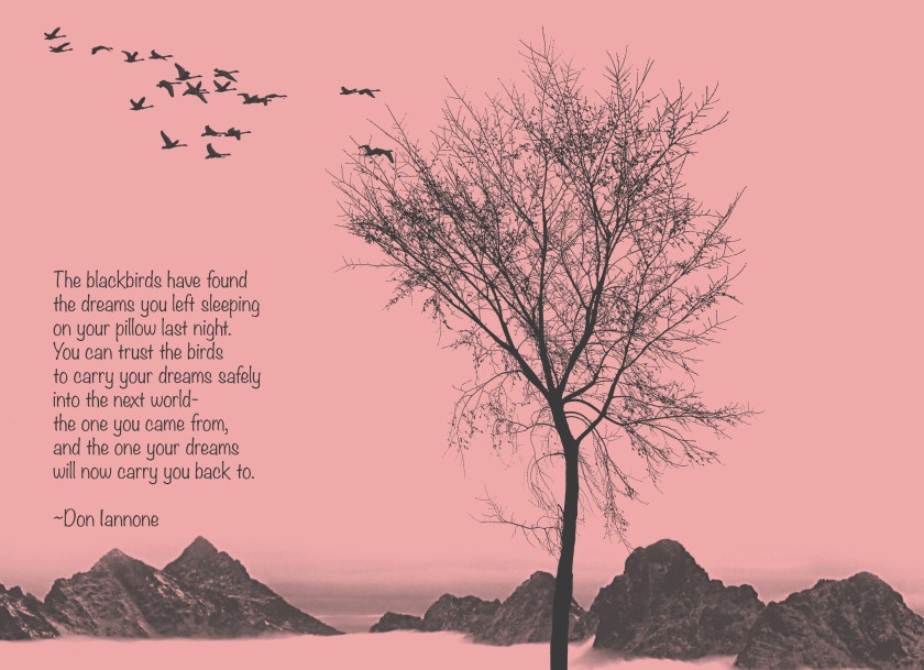 blackbird dreams poem