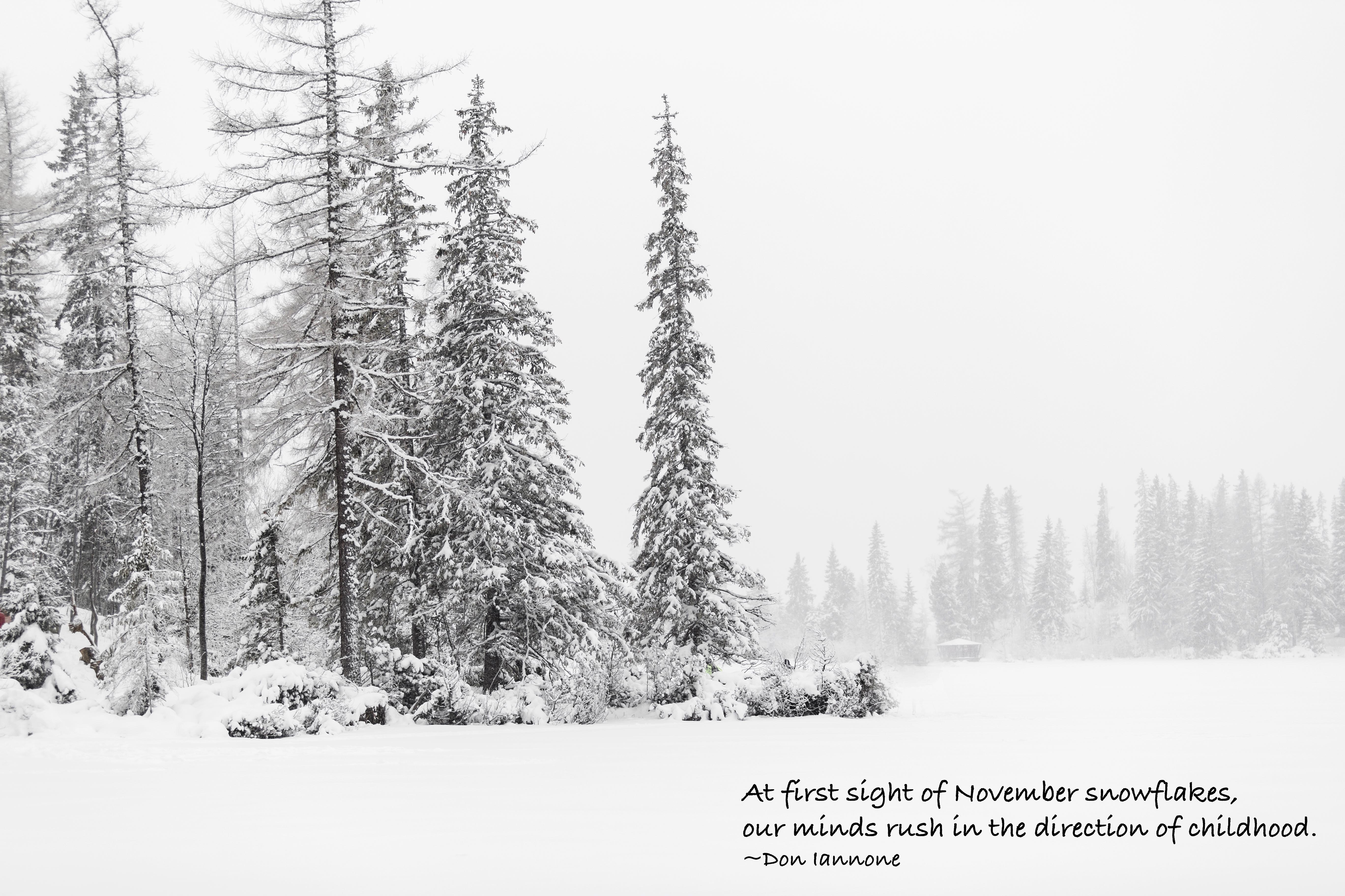 childhhod winters small