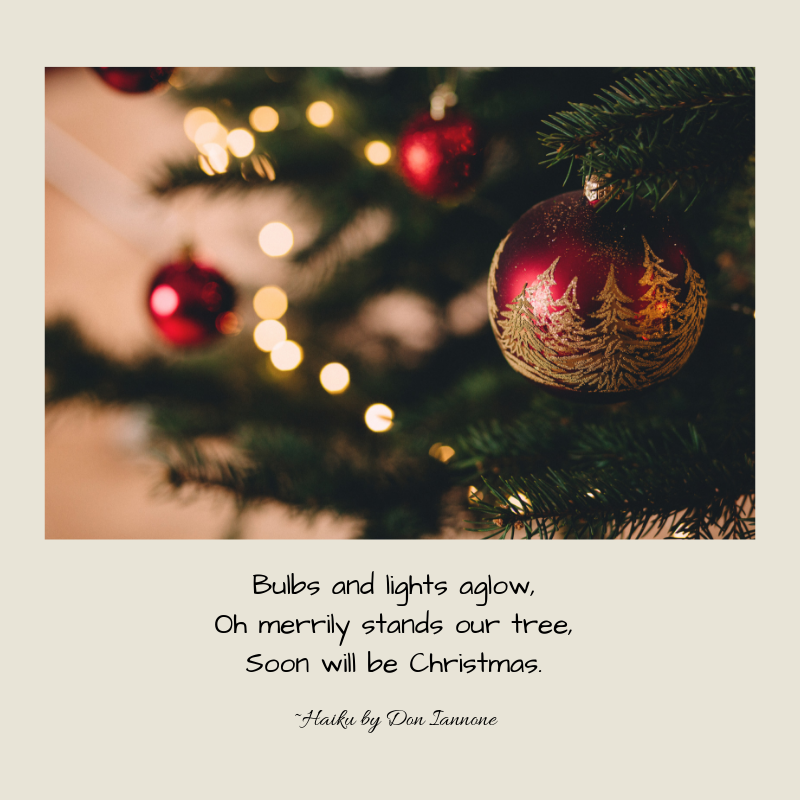 soon will be christmas.png