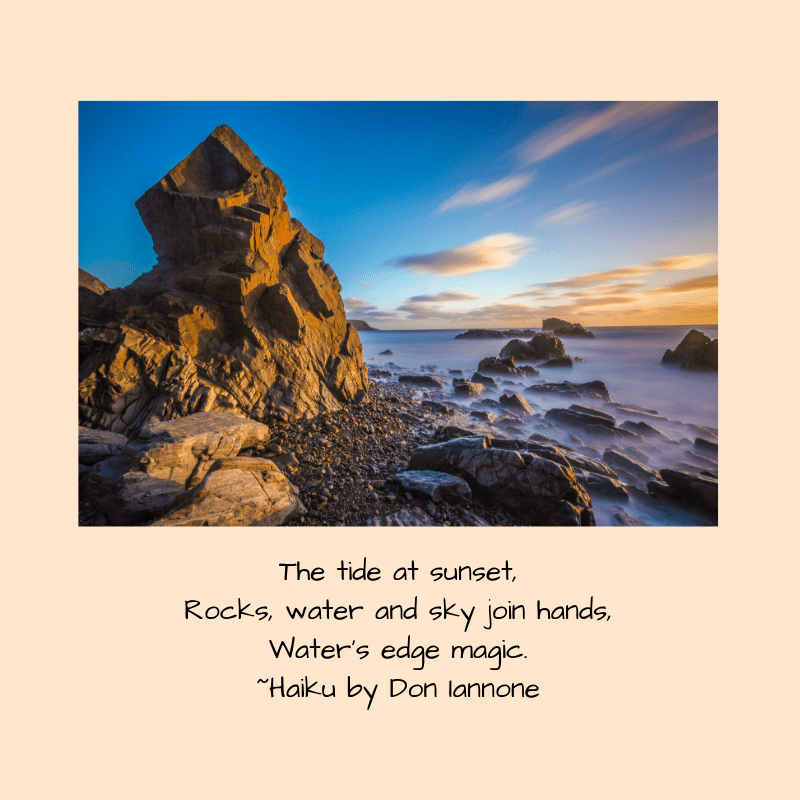 water's edge magic.png