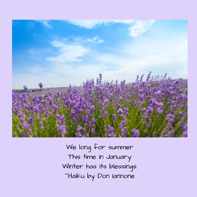 longing for summer.png