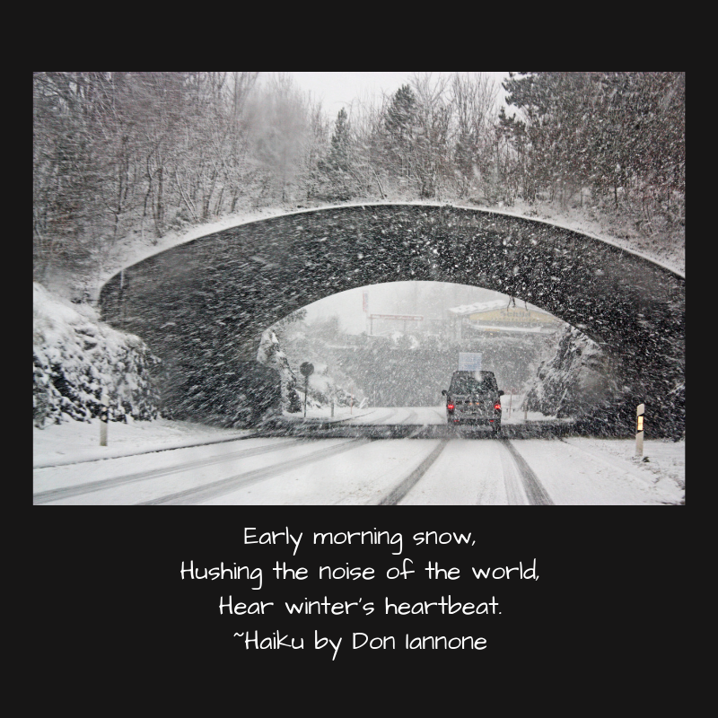 winter's heartbeat.png