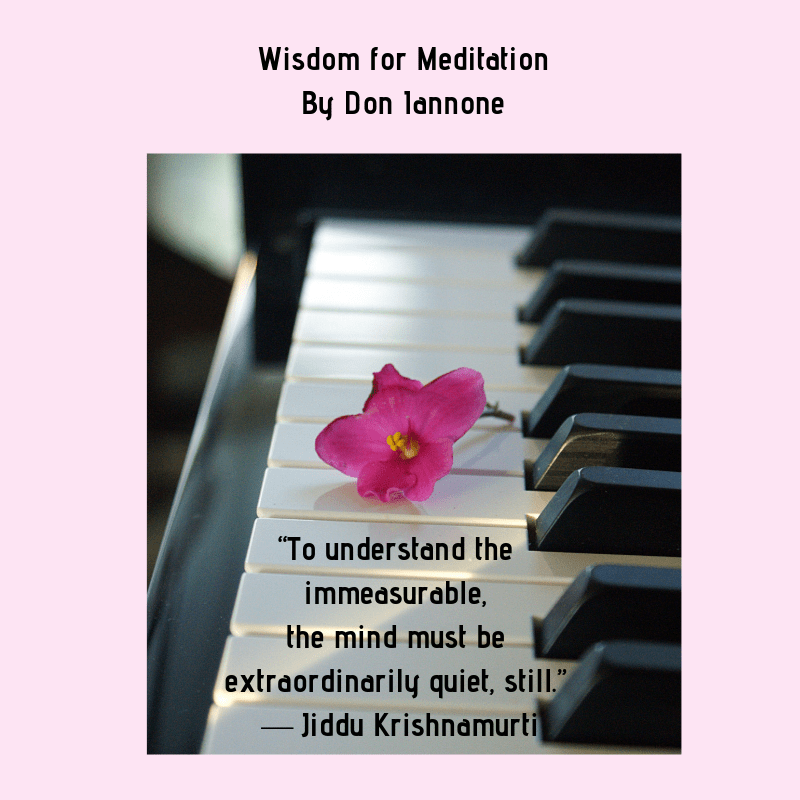 meditation wisdom 2