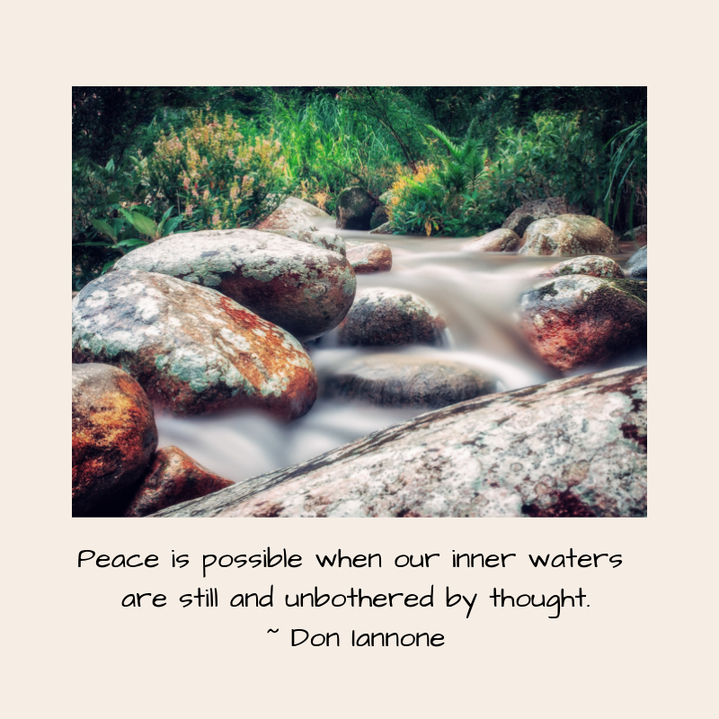 Text placeholder.png