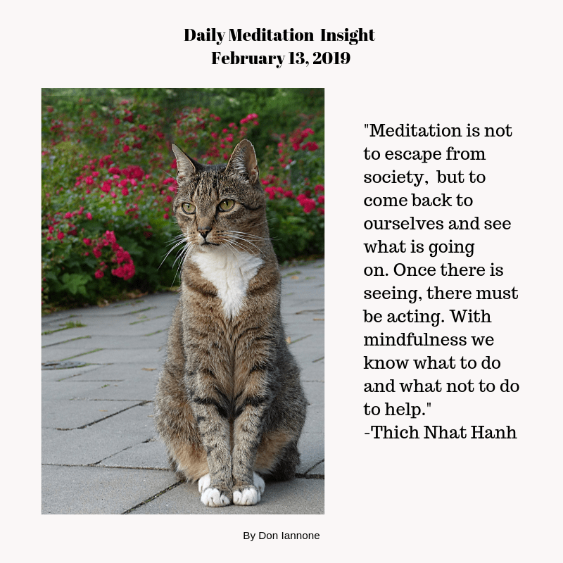 wisdom art don iannone 2-13-19