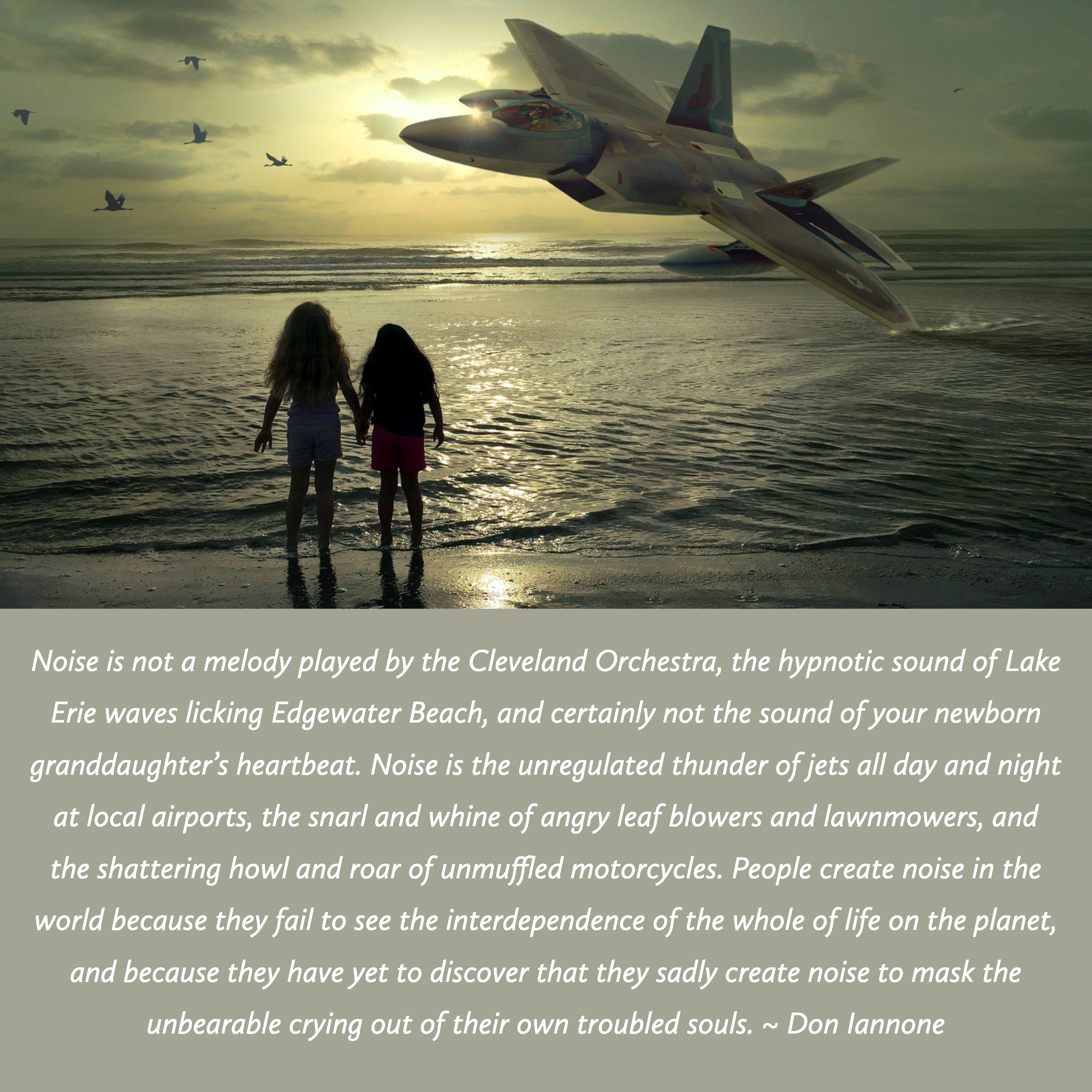 Noise 2 Don Iannone.jpg